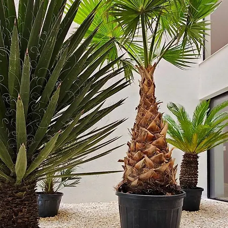 Wakacyjny Baltic Waves - Taras 180 M2 アパート *